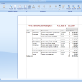 salesreport_with_month_and_type.png